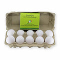 Bio Eier 10er