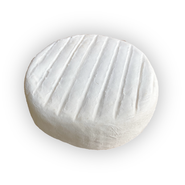 Camembert ( Neuwies )